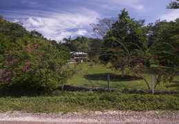 homestead in the jungle