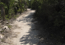 pathway through the Southern Island