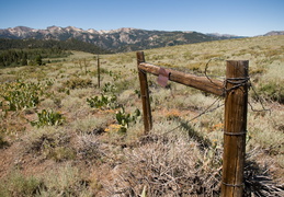 old signs of ranching