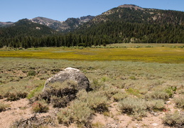 valley within the Carson Iceberg Wilderness
