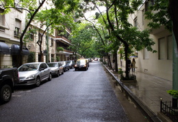 tree-lined street in Recoleta district of Buenos Aires