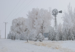 frozen farmhouse