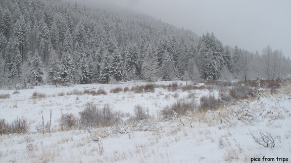 snowy Idaho