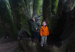 Jack and Owen in Muir Woods