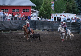 Hailey rodeo