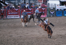 Jackson rodeo